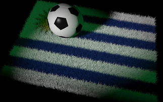 星空体育在线-巴西国家足球队在南美预选赛中占据优势，巴西国家足球队在南美预选赛中占据优势的是